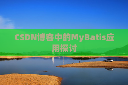 CSDN博客中的MyBatis应用探讨